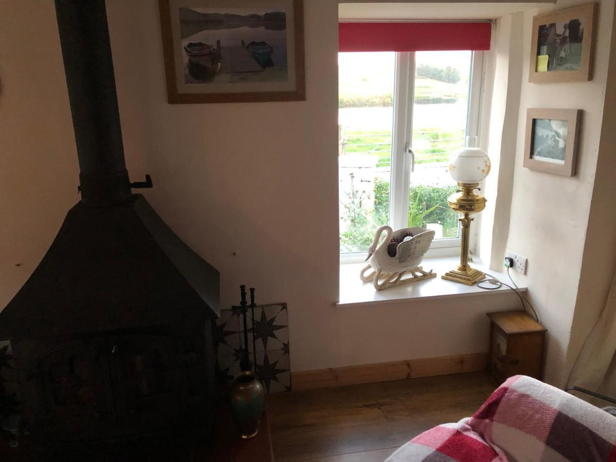 Apartament Lake View Romantic Retreat Aberystwyth Zewnętrze zdjęcie