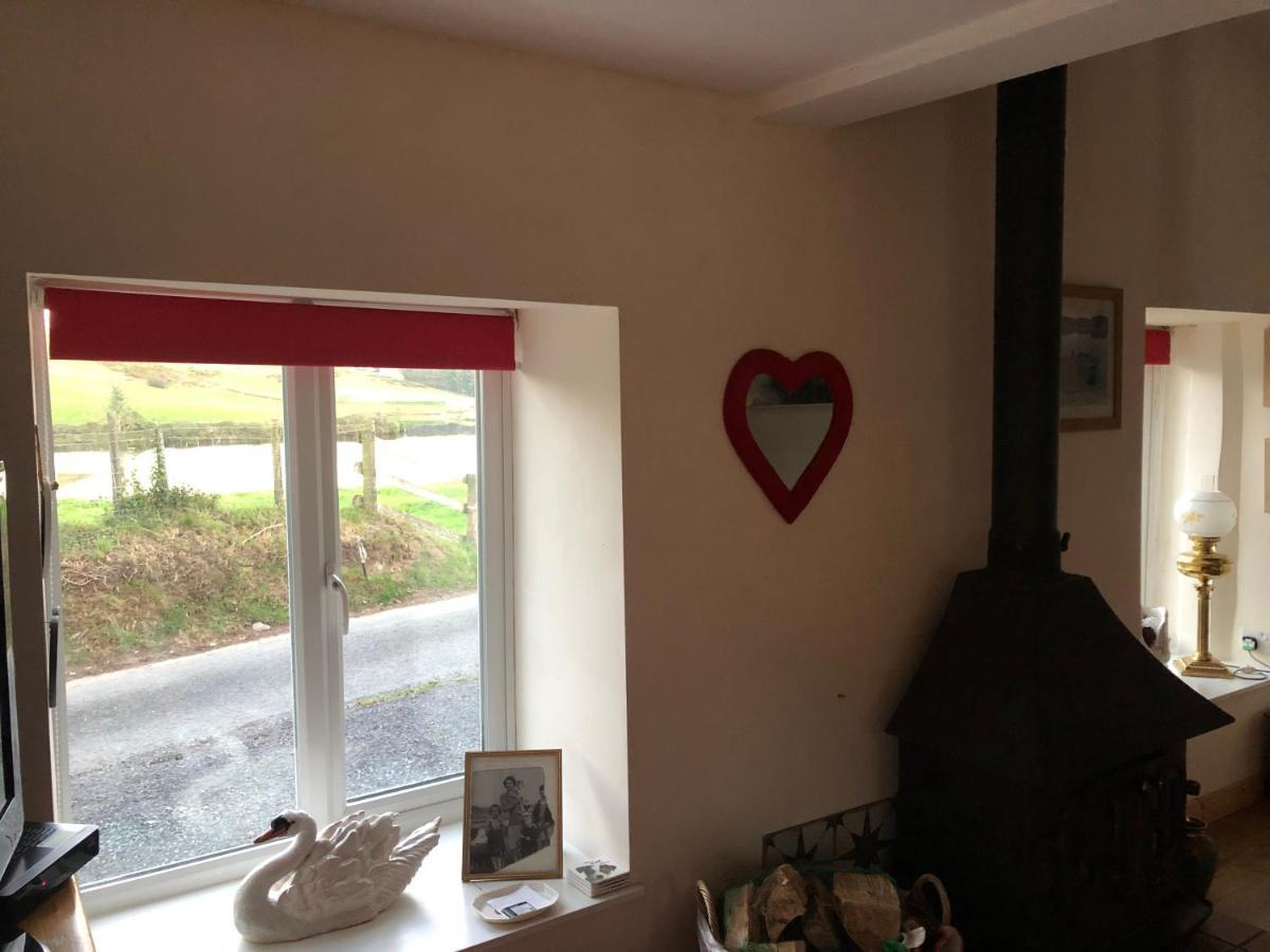 Apartament Lake View Romantic Retreat Aberystwyth Zewnętrze zdjęcie